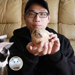 Profile Picture of 許伯&簡芝－倉鼠人 (@f8046000) on Instagram