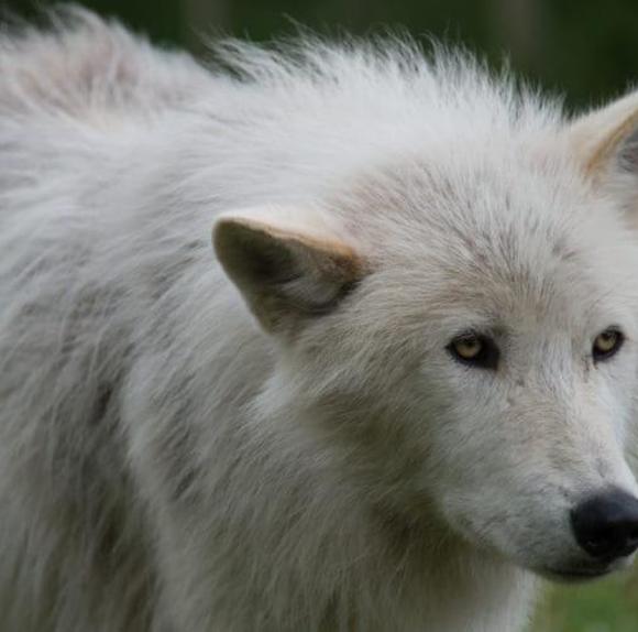 Profile Picture of Jerry Clark (@clarkjerry321) on Poshmark