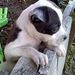 Profile Picture of Renee Luckey (@luckeyrenee) on Pinterest