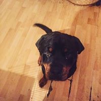 Profile Picture of Jade Lloyd (@jade-lloyd-13) on Quora