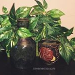 Profile Picture of Natalie’s Ceramics (@glazedbyrenee) on Instagram