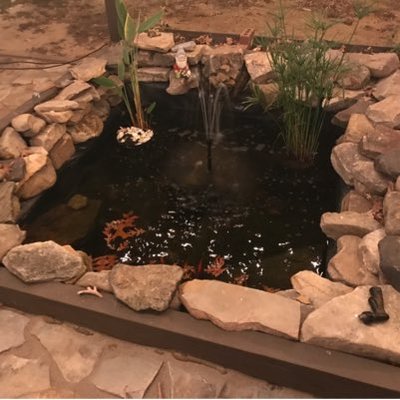 Profile Picture of Carl David Nunley (@CarlNunley) on Twitter