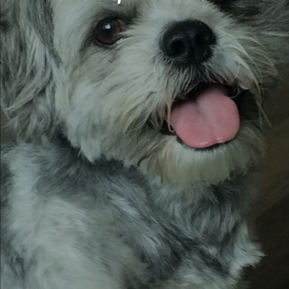 Profile Picture of Rahul Bajaj (@raridagod) on Poshmark