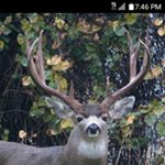 Profile Picture of edward harris (@huntin_bones) on Instagram