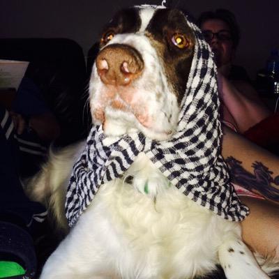 Profile Picture of Angie Sinclair (@Flipflop07Angie) on Twitter