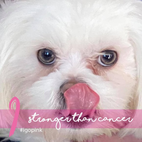 Profile Picture of Susan Heaton-jones (@shjshugs) on Poshmark
