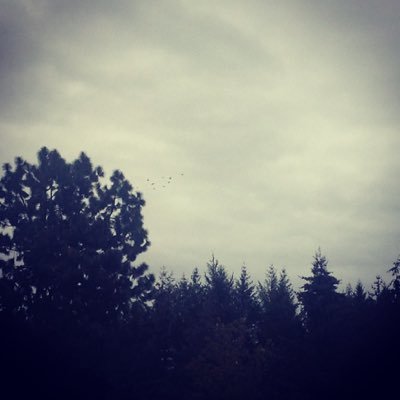 Profile Picture of Kim Rosman (@obaollie) on Twitter