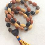 Profile Picture of Kate Ewing (@maitri_kirti) on Instagram