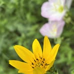 Profile Picture of Will Branch (@will.branch.509046) on Facebook