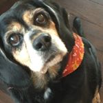 Profile Picture of Nancy Pool (@pool2522) on Instagram