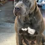 Profile Picture of Bryan Trahern (@bryan.trahern) on Facebook