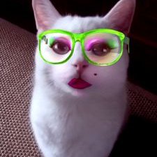 Profile Picture of Karen Savage (@mathsavage) on Twitter