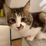 Profile Picture of Ralph Ostermaier (@ostermaierralph1) on Instagram
