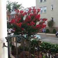 Profile Picture of Jesse Potts (@jesse-potts-4) on Quora
