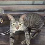 Profile Picture of Turliah Tur (@Turliah-Tur) on Facebook