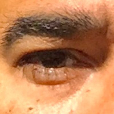 Profile Picture of David Poland (@DavidPoland) on Twitter