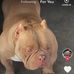 Profile Picture of Mark Pipito (@mark.pipito.397) on Facebook