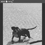 Profile Picture of Kevin Diverrez (@kevindvrz) on Instagram