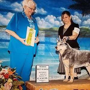 Profile Picture of Dawn Hines (@DawnHin51878677) on Twitter