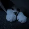 Profile Picture of Brent Mancuso (@@brentmancuso) on Tiktok