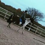 Profile Picture of Caitlin Bateman 😜😜 (@_xx.c.b.xx_) on Instagram
