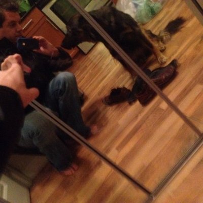 Profile Picture of Brian Budgell (@BrianBudgell) on Twitter