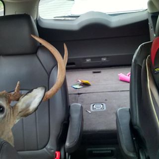 Profile Picture of Mitch Otto (@mitch.otto.1232) on Facebook