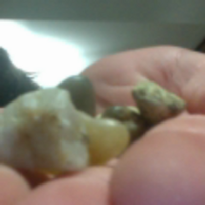 Profile Picture of Trent Forrest (@TrentForestLIFE) on Twitter