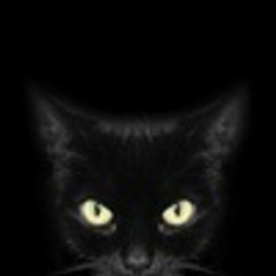Profile Picture of Avice Campbell (@AviceDina) on Twitter