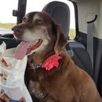 Profile Picture of Matthew DeVries (@matthew.devries.9) on Facebook