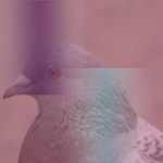 Profile Picture of Geoffrey Joseph Martinez (@mynamesgeoffrey) on Instagram