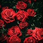 Profile Picture of akram Pourabedini (@akram_.abedini) on Instagram