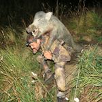 Profile Picture of Ben Tumata (@bentumata) on Instagram