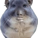 Profile Picture of Jerry Tepper (@Jerry-Tepper) on Facebook