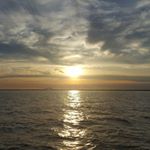 Profile Picture of Michele Truman (@michele.truman13) on Instagram