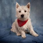 Profile Picture of Toby Turner (@tobygriffithturner) on Instagram