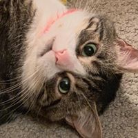 Profile Picture of Nathaniel Spencer (@nathaniel-spencer-23) on Quora