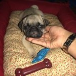 Profile Picture of Snow Bob (@_.snowbob) on Instagram