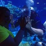 Scott Saxton - Instagram Profile Picture of Scott Saxton (@scottclksms) on Instagram