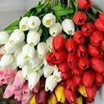 Profile Picture of Ahmad Kasim (@ahmad.kasim.73932) on Instagram