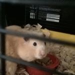 Profile Picture of holly leann nicholson (@hollynicholson1234) on Instagram