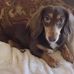 Profile Picture of Craig Winn Rathbone (@craig.rathbone.754) on Facebook