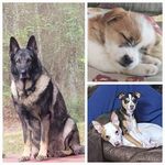 Profile Picture of Lisa Lowe (@lisa.lowe.7374) on Instagram