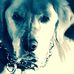 Profile Picture of Michael Mummert (@michael.mummert.75) on Facebook