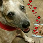 Profile Picture of lisa weese (@lweese7869) on Instagram