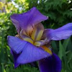 Valerie Higgins - Instagram Profile Picture of Valerie Higgins (@valhigg60) on Instagram