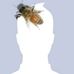 Profile Picture of James Trowbridge (@James-Trowbridge) on Facebook