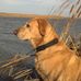 Profile Picture of Darren Schneider (@darren.schneider.507) on Facebook