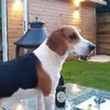 Profile Picture of Robert McIntyre (@robert.mcintyre045) on Tiktok