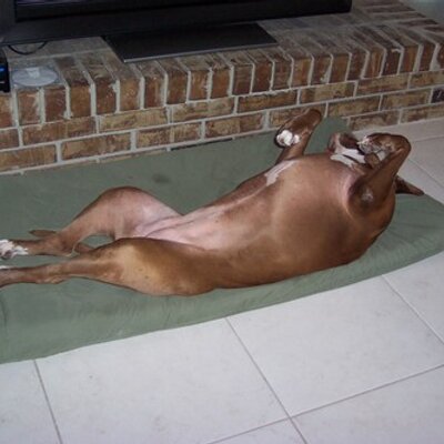 Profile Picture of D Weisner (@Daniel_Weisner) on Twitter